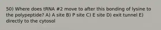 50) Where does tRNA #2 move to after this bonding of lysine to the polypeptide? A) A site B) P site C) E site D) exit tunnel E) directly to the cytosol