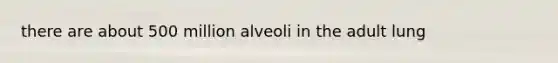 there are about 500 million alveoli in the adult lung