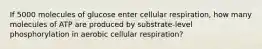 If 5000 molecules of glucose enter cellular respiration, how many molecules of ATP are produced by substrate-level phosphorylation in aerobic cellular respiration?