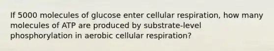 If 5000 molecules of glucose enter <a href='https://www.questionai.com/knowledge/k1IqNYBAJw-cellular-respiration' class='anchor-knowledge'>cellular respiration</a>, how many molecules of ATP are produced by substrate-level phosphorylation in aerobic cellular respiration?