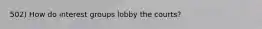 502) How do interest groups lobby the courts?