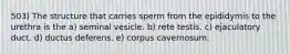 503) The structure that carries sperm from the epididymis to the urethra is the a) seminal vesicle. b) rete testis. c) ejaculatory duct. d) ductus deferens. e) corpus cavernosum.