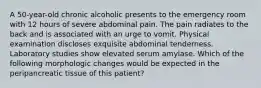 A 50-year-old chronic alcoholic presents to the emergency room with 12 hours of severe abdominal pain. The pain radiates to the back and is associated with an urge to vomit. Physical examination discloses exquisite abdominal tenderness. Laboratory studies show elevated serum amylase. Which of the following morphologic changes would be expected in the peripancreatic tissue of this patient?