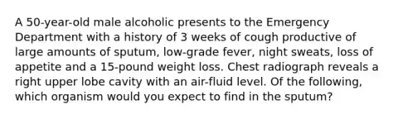 A 50-year-old male alcoholic presents to the Emergency Department with a history of 3 weeks of cough productive of large amounts of sputum, low-grade fever, night sweats, loss of appetite and a 15-pound weight loss. Chest radiograph reveals a right upper lobe cavity with an air-fluid level. Of the following, which organism would you expect to find in the sputum?