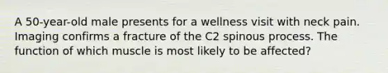 A 50-year-old male presents for a wellness visit with neck pain. Imaging confirms a fracture of the C2 spinous process. The function of which muscle is most likely to be affected?