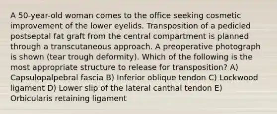 A 50-year-old woman comes to the office seeking cosmetic improvement of the lower eyelids. Transposition of a pedicled postseptal fat graft from the central compartment is planned through a transcutaneous approach. A preoperative photograph is shown (tear trough deformity). Which of the following is the most appropriate structure to release for transposition? A) Capsulopalpebral fascia B) Inferior oblique tendon C) Lockwood ligament D) Lower slip of the lateral canthal tendon E) Orbicularis retaining ligament