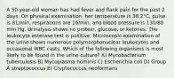 A 50-year-old woman has had fever and flank pain for the past 2 days. On physical examination, her temperature is 38.2°C, pulse is 81/min, respirations are 16/min, and blood pressure is 130/80 mm Hg. Urinalysis shows no protein, glucose, or ketones. The leukocyte esterase test is positive. Microscopic examination of the urine shows numerous polymorphonuclear leukocytes and occasional WBC casts. Which of the following organisms is most likely to be found in the urine culture? A) Mycobacterium tuberculosis B) Mycoplasma hominis C) Escherichia coli D) Group A streptococcus E) Cryptococcus neoformans