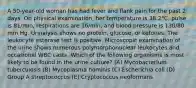 A 50-year-old woman has had fever and flank pain for the past 2 days. On physical examination, her temperature is 38.2°C, pulse is 81/min, respirations are 16/min, and blood pressure is 130/80 mm Hg. Urinalysis shows no protein, glucose, or ketones. The leukocyte esterase test is positive. Microscopic examination of the urine shows numerous polymorphonuclear leukocytes and occasional WBC casts. Which of the following organisms is most likely to be found in the urine culture? (A) Mycobacterium tuberculosis (B) Mycoplasma hominis (C) Escherichia coli (D) Group A streptococcus (E) Cryptococcus neoformans