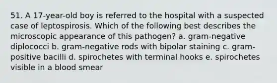 51. A 17-year-old boy is referred to the hospital with a suspected case of leptospirosis. Which of the following best describes the microscopic appearance of this pathogen? a. gram-negative diplococci b. gram-negative rods with bipolar staining c. gram-positive bacilli d. spirochetes with terminal hooks e. spirochetes visible in a blood smear