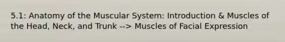 5.1: Anatomy of the Muscular System: Introduction & Muscles of the Head, Neck, and Trunk --> Muscles of Facial Expression