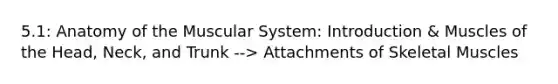 5.1: Anatomy of the Muscular System: Introduction & Muscles of the Head, Neck, and Trunk --> Attachments of Skeletal Muscles