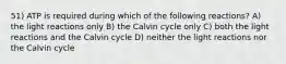 51) ATP is required during which of the following reactions? A) the light reactions only B) the Calvin cycle only C) both the light reactions and the Calvin cycle D) neither the light reactions nor the Calvin cycle