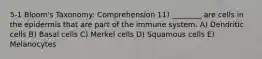 5-1 Bloom's Taxonomy: Comprehension 11) ________ are cells in the epidermis that are part of the immune system. A) Dendritic cells B) Basal cells C) Merkel cells D) Squamous cells E) Melanocytes