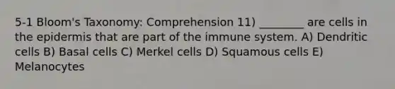 5-1 Bloom's Taxonomy: Comprehension 11) ________ are cells in the epidermis that are part of the immune system. A) Dendritic cells B) Basal cells C) Merkel cells D) Squamous cells E) Melanocytes