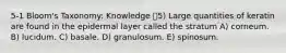 5-1 Bloom's Taxonomy: Knowledge 5) Large quantities of keratin are found in the epidermal layer called the stratum A) corneum. B) lucidum. C) basale. D) granulosum. E) spinosum.