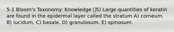 5-1 Bloom's Taxonomy: Knowledge 5) Large quantities of keratin are found in the epidermal layer called the stratum A) corneum. B) lucidum. C) basale. D) granulosum. E) spinosum.