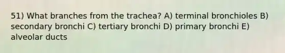 51) What branches from the trachea? A) terminal bronchioles B) secondary bronchi C) tertiary bronchi D) primary bronchi E) alveolar ducts