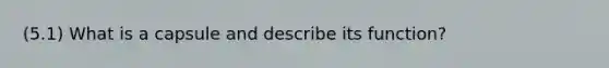 (5.1) What is a capsule and describe its function?