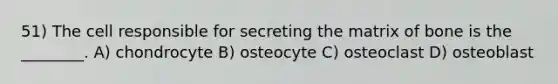 51) The cell responsible for secreting the matrix of bone is the ________. A) chondrocyte B) osteocyte C) osteoclast D) osteoblast