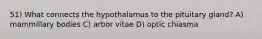 51) What connects the hypothalamus to the pituitary gland? A) mammillary bodies C) arbor vitae D) optic chiasma