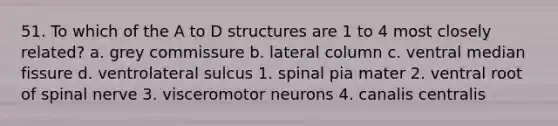 51. To which of the A to D structures are 1 to 4 most closely related? a. grey commissure b. lateral column c. ventral median fissure d. ventrolateral sulcus 1. spinal pia mater 2. ventral root of spinal nerve 3. visceromotor neurons 4. canalis centralis