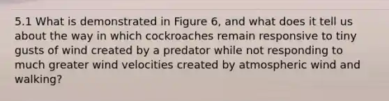 5.1 What is demonstrated in Figure 6, and what does it tell us about the way in which cockroaches remain responsive to tiny gusts of wind created by a predator while not responding to much greater wind velocities created by atmospheric wind and walking?