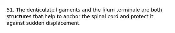 51. The denticulate ligaments and the filum terminale are both structures that help to anchor the spinal cord and protect it against sudden displacement.