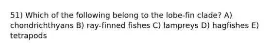 51) Which of the following belong to the lobe-fin clade? A) chondrichthyans B) ray-finned fishes C) lampreys D) hagfishes E) tetrapods