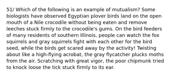 51/ Which of the following is an example of mutualism? Some biologists have observed Egyptian plover birds land on the open mouth of a Nile crocodile without being eaten and remove leeches stuck firmly to the crocodile's gums. On the bird feeders of many residents of southern Illinois, people can watch the fox squirrels and gray squirrels fight with each other for the bird seed, while the birds get scared away by the activity! Twisting about like a high-flying acrobat, the gray flycatcher plucks moths from the air. Scratching with great vigor, the poor chipmunk tried to knock loose the tick stuck firmly to its ear.