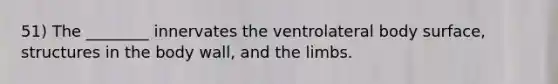 51) The ________ innervates the ventrolateral body surface, structures in the body wall, and the limbs.