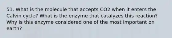 51. What is the molecule that accepts CO2 when it enters the Calvin cycle? What is the enzyme that catalyzes this reaction? Why is this enzyme considered one of the most important on earth?