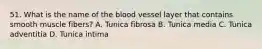 51. What is the name of the blood vessel layer that contains smooth muscle fibers? A. Tunica fibrosa B. Tunica media C. Tunica adventitia D. Tunica intima