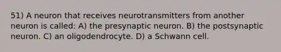 51) A neuron that receives neurotransmitters from another neuron is called: A) the presynaptic neuron. B) the postsynaptic neuron. C) an oligodendrocyte. D) a Schwann cell.