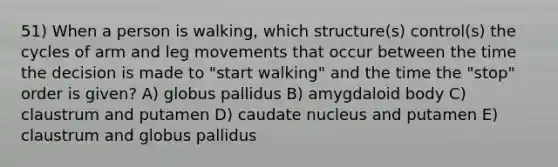 51) When a person is walking, which structure(s) control(s) the cycles of arm and leg movements that occur between the time the decision is made to "start walking" and the time the "stop" order is given? A) globus pallidus B) amygdaloid body C) claustrum and putamen D) caudate nucleus and putamen E) claustrum and globus pallidus