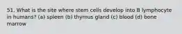 51. What is the site where stem cells develop into B lymphocyte in humans? (a) spleen (b) thymus gland (c) blood (d) bone marrow