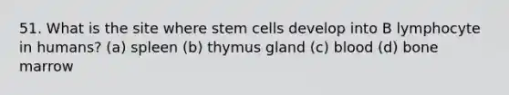 51. What is the site where stem cells develop into B lymphocyte in humans? (a) spleen (b) thymus gland (c) blood (d) bone marrow