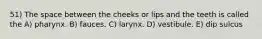 51) The space between the cheeks or lips and the teeth is called the A) pharynx. B) fauces. C) larynx. D) vestibule. E) dip sulcus