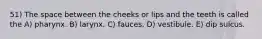 51) The space between the cheeks or lips and the teeth is called the A) pharynx. B) larynx. C) fauces. D) vestibule. E) dip sulcus.