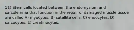 51) Stem cells located between the endomysium and sarcolemma that function in the repair of damaged muscle tissue are called A) myocytes. B) satellite cells. C) endocytes. D) sarcocytes. E) creatinocytes.