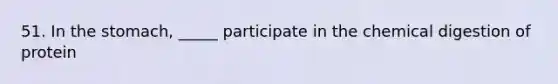 51. In the stomach, _____ participate in the chemical digestion of protein