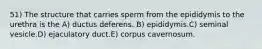 51) The structure that carries sperm from the epididymis to the urethra is the A) ductus deferens. B) epididymis.C) seminal vesicle.D) ejaculatory duct.E) corpus cavernosum.