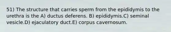 51) The structure that carries sperm from the epididymis to the urethra is the A) ductus deferens. B) epididymis.C) seminal vesicle.D) ejaculatory duct.E) corpus cavernosum.