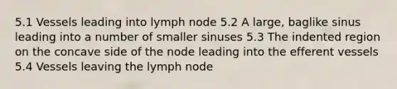 5.1 Vessels leading into lymph node 5.2 A large, baglike sinus leading into a number of smaller sinuses 5.3 The indented region on the concave side of the node leading into the efferent vessels 5.4 Vessels leaving the lymph node