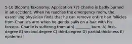 5-10 Bloom's Taxonomy: Application 77) Charlie is badly burned in an accident. When he reaches the emergency room, the examining physician finds that he can remove entire hair follicles from Charlie's arm when he gently pulls on a hair with his forceps. Charlie is suffering from a(n) ________ burn. A) first-degree B) second-degree C) third-degree D) partial-thickness E) epidermal