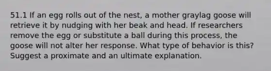 51.1 If an egg rolls out of the nest, a mother graylag goose will retrieve it by nudging with her beak and head. If researchers remove the egg or substitute a ball during this process, the goose will not alter her response. What type of behavior is this? Suggest a proximate and an ultimate explanation.