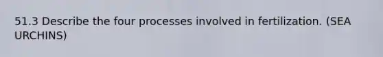 51.3 Describe the four processes involved in fertilization. (SEA URCHINS)