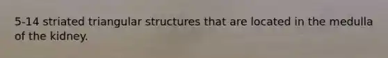 5-14 striated triangular structures that are located in the medulla of the kidney.