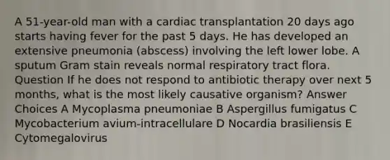 A 51-year-old man with a cardiac transplantation 20 days ago starts having fever for the past 5 days. He has developed an extensive pneumonia (abscess) involving the left lower lobe. A sputum Gram stain reveals normal respiratory tract flora. Question If he does not respond to antibiotic therapy over next 5 months, what is the most likely causative organism? Answer Choices A Mycoplasma pneumoniae B Aspergillus fumigatus C Mycobacterium avium-intracellulare D Nocardia brasiliensis E Cytomegalovirus