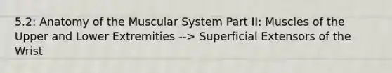 5.2: Anatomy of the Muscular System Part II: Muscles of the Upper and Lower Extremities --> Superficial Extensors of the Wrist