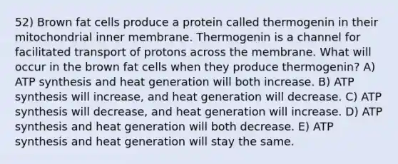 52) Brown fat cells produce a protein called thermogenin in their mitochondrial inner membrane. Thermogenin is a channel for facilitated transport of protons across the membrane. What will occur in the brown fat cells when they produce thermogenin? A) ATP synthesis and heat generation will both increase. B) ATP synthesis will increase, and heat generation will decrease. C) ATP synthesis will decrease, and heat generation will increase. D) ATP synthesis and heat generation will both decrease. E) ATP synthesis and heat generation will stay the same.